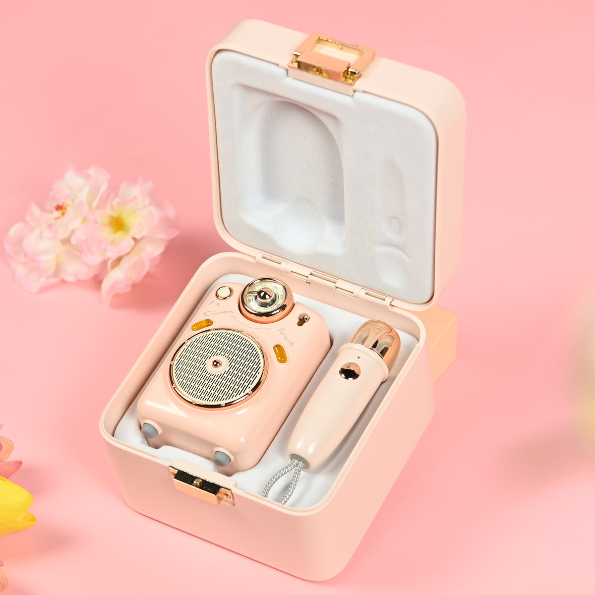 Enceinte + Micro Bluetooth - Fairy-Ok