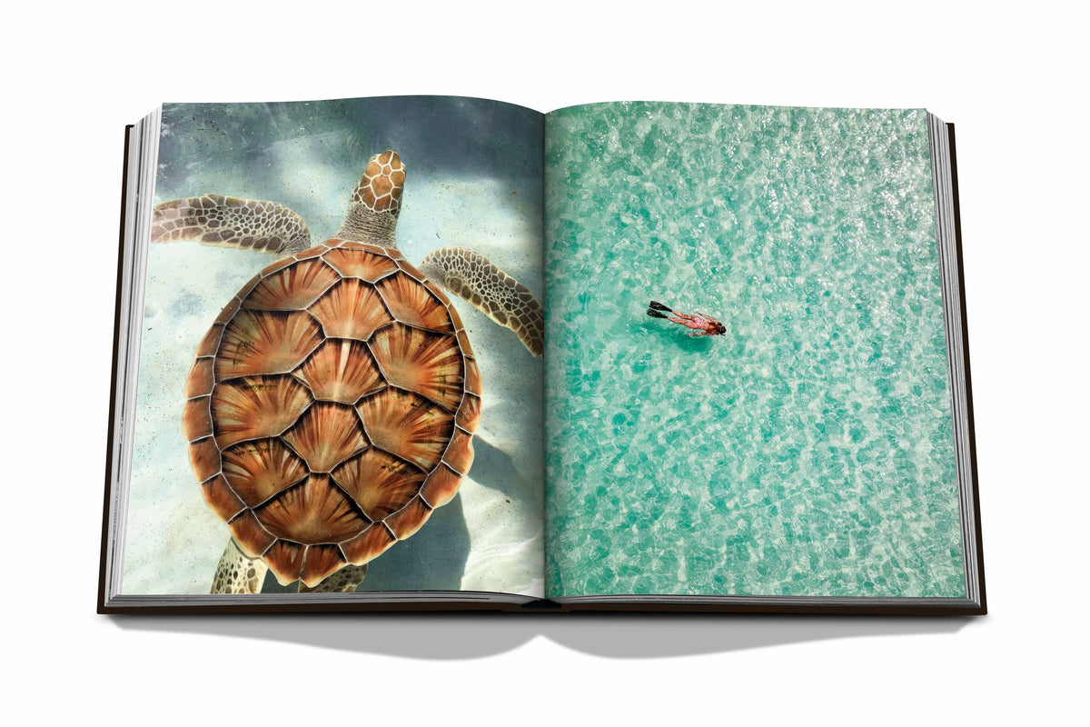 Livre Assouline - Jamaica Vibes