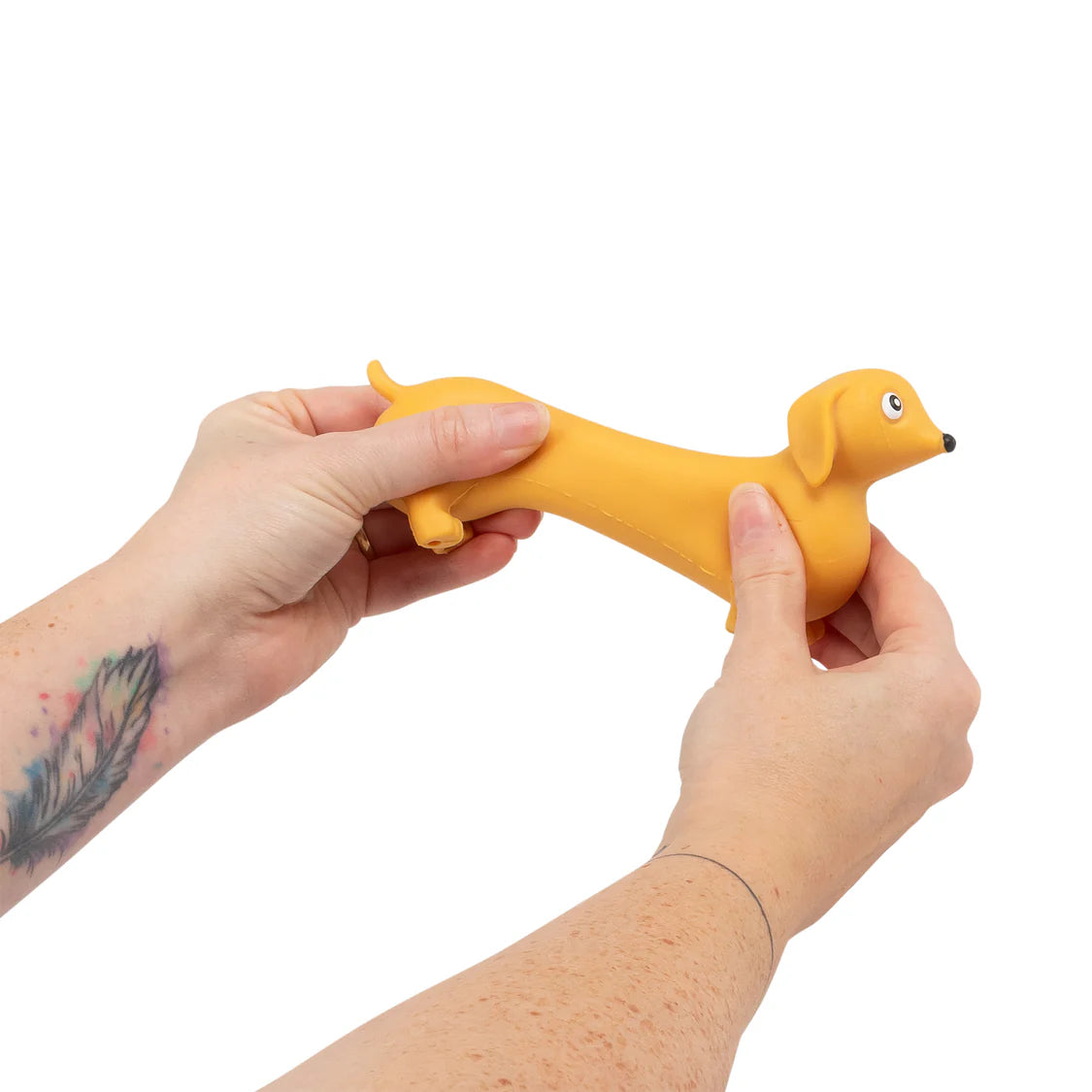 Chien saucisse étirable