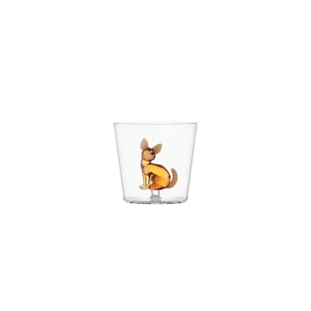Ichendorf Verre - Chihuahua
