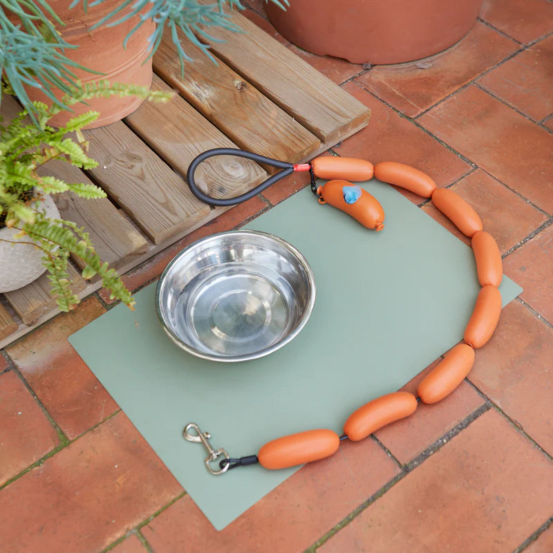 Laisse chien hot dog