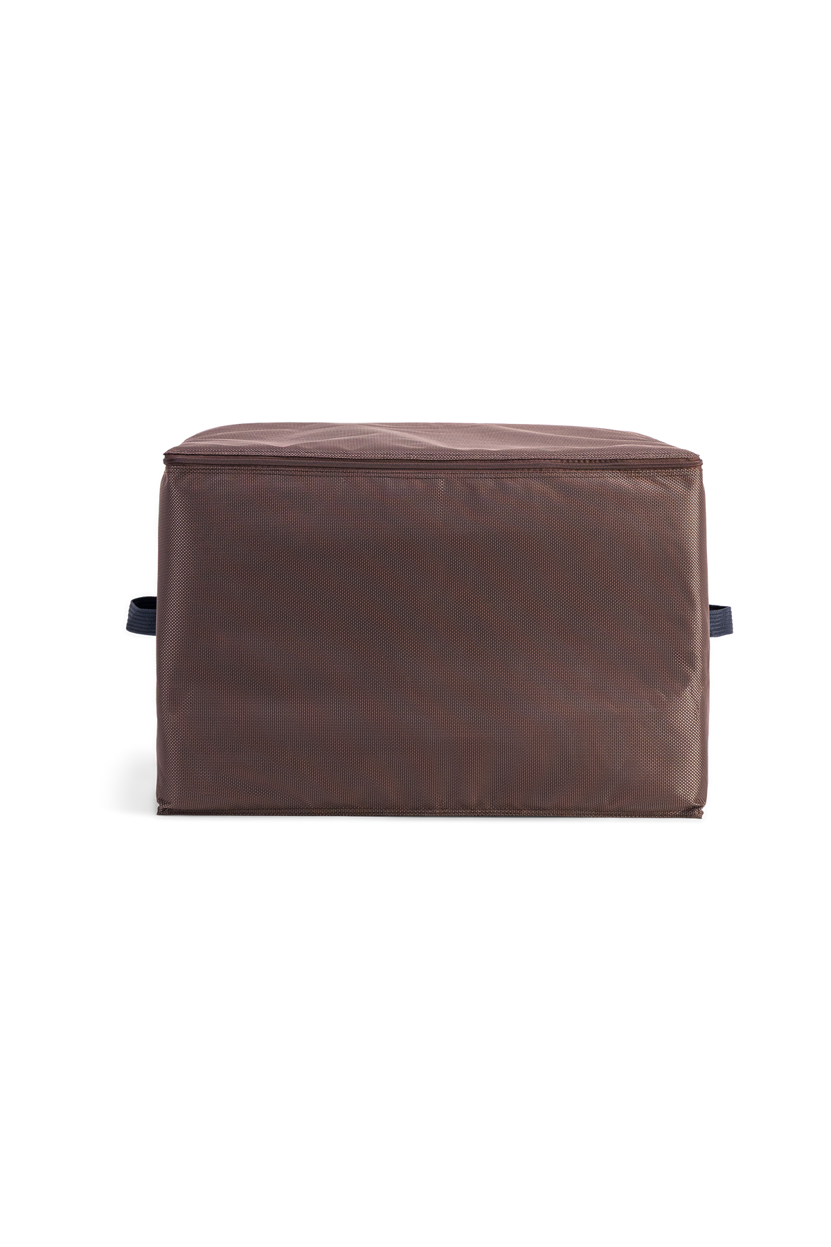 Bensimon House Case mini Canva