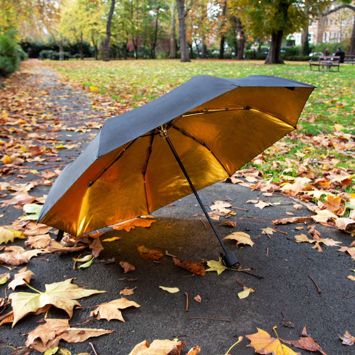 Parapluie - Noir et Or